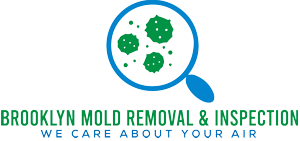 Brooklyn Mold Removal & Inspections Logo