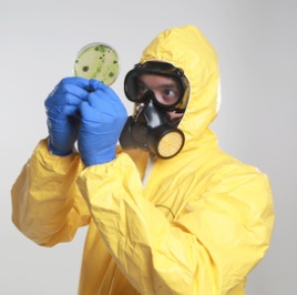 mold removal service brooklyn